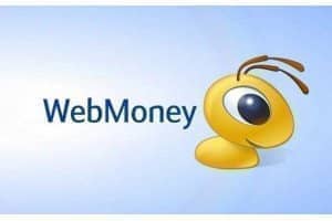 Instant payment via WebMoney - convenience for users