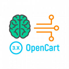 Brain integration API with OpenCart 3.0 v